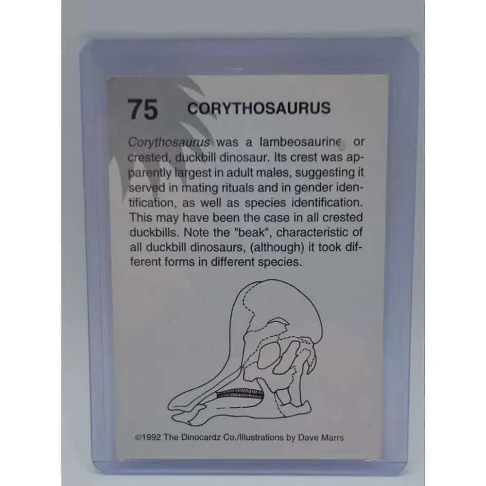 1992 DinoCardz #75 Corythosaurus Card